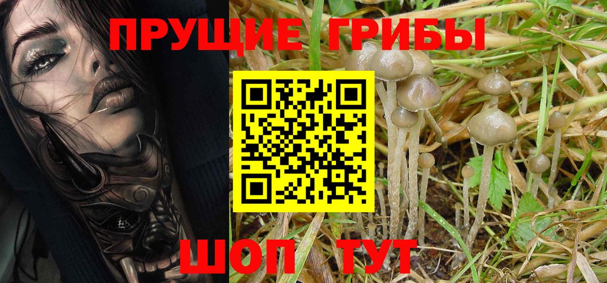 Галлюциногенные грибы MAGIC MUSHROOMS Канаш