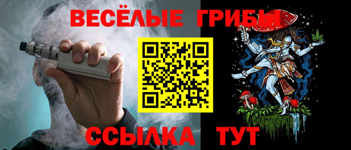 Канаш  Галлюциногенные грибы Psilocybine cubensis  Вход с VPN 